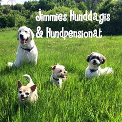 Jimmies Hunddagis & Hundpensionat AB