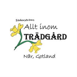 Söderströms Allt inom Trädgård AB - Trädfällning När Gotland