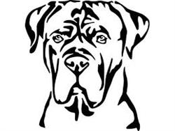KENNEL SATERNUS AB