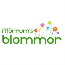 Mörrum's Blommor