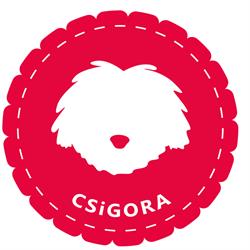 Csigora