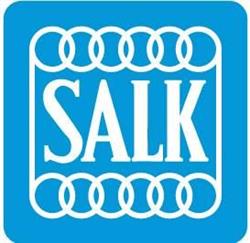 SALK Tennisklubb Stockholm