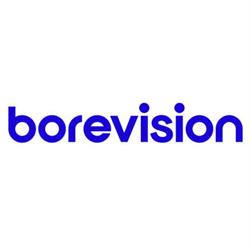 BoRevision i Sverige AB