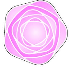 Blomman Vårdcentral