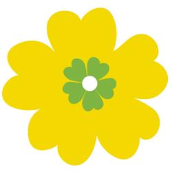Primula hemtjänst och städservice AB