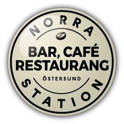 Norra station