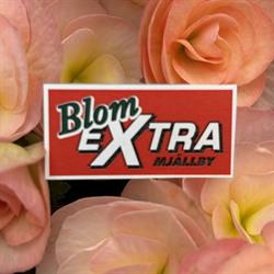 BlomEXTRA