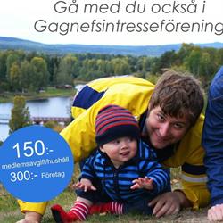 Gagnefs Intresseförening