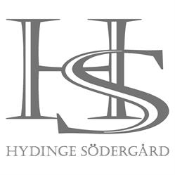 Hydinge Södergård L AB/Teleskoplastare