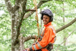Stora Träd Arborist AB