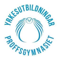Proffsgymnasiet Örebro AB