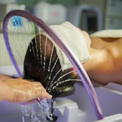 Queenna Spa Salong
