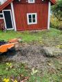 Stubbfräsning