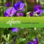 Växtbestämning. Utform Trädgårdsdesign