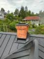 Älggården Tak ab