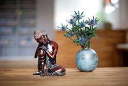 MSH Yogastudio