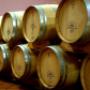 Besök italienska vinproducenter. Guidad visning och vinprovning.