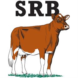 SRB-Föreningen