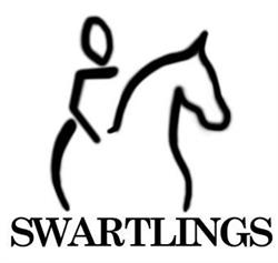 Swartlings Ridskola Ryttarstadion