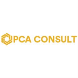 PCA Consult