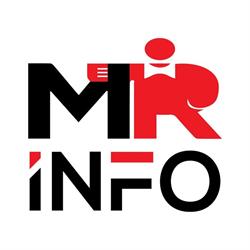 Mr Info - Information & Problemlösning