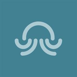 Octopi Bay