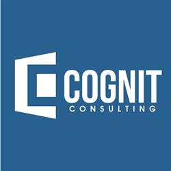 Cognit Consulting AB