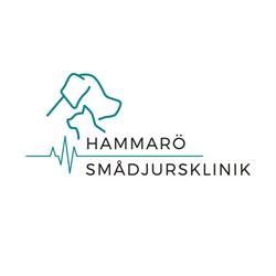 Hammarö smådjursklinik