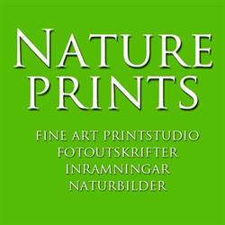 LJ Fotoateljé / Natureprints