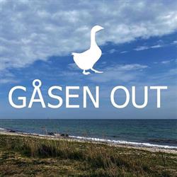 Gåsen Out Bed & Breakfast