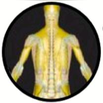 Osteopati & Kiromassagekliniken Stockholm
