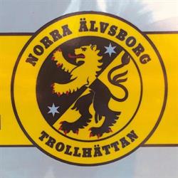 Norra Älvsborgs Taxi I Trollhättan AB