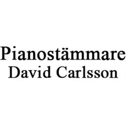 Pianotekniker David Carlsson