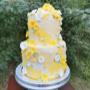 # 209