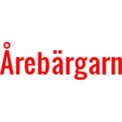 Årebärgar'n Plåt & Lack