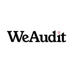 We Audit