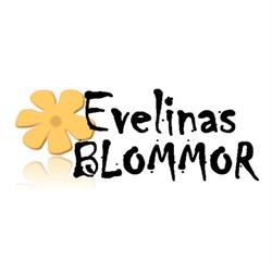 Evelinas Blommor