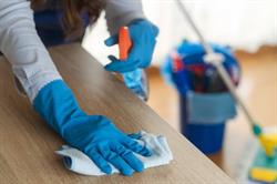 Rent a Maid i Sverige
