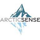 ArcticSense