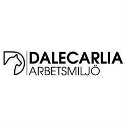 Dalecarlia Arbetsmiljö
