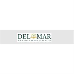 Del Mar Dogs - Hundarena