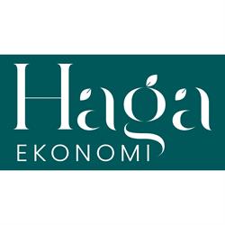 Haga Ekonomi