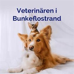 Veterinären i Bunkeflostrand / TS Vet AB