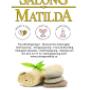 Salong Matilda