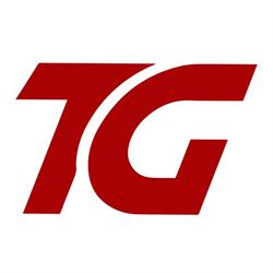 TG Biluthyrning