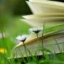 # 7