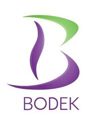 Bodek Revision o Redovisning