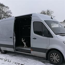 Hunddagisbussen