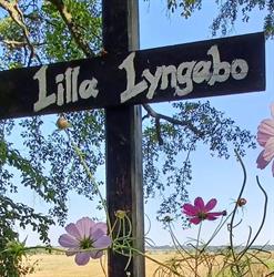 Sinne för smak / Lilla Lyngabo