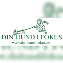 Din Hund i Fokus